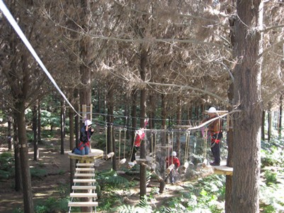 Adventure Forest.jpg